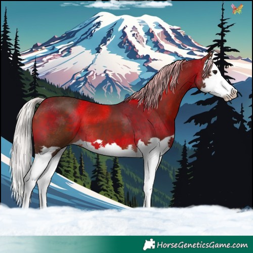 Horse Color:Silver Brown Splash 