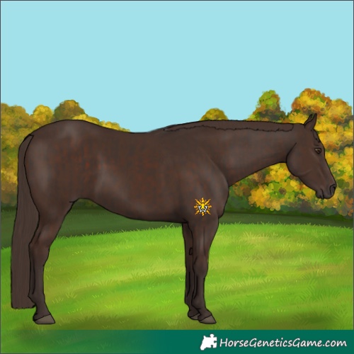 Horse Color:Liver Chestnut  and Liver Chestnut 