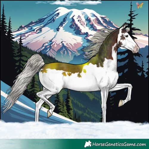 Horse Color:Silver Brown Splash 