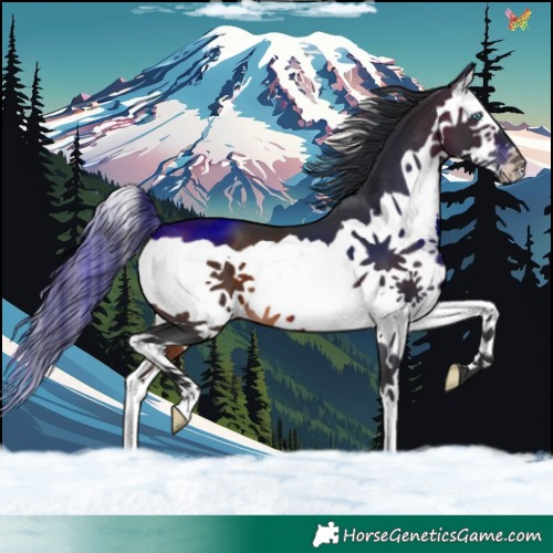 Horse Color:Brown Splash