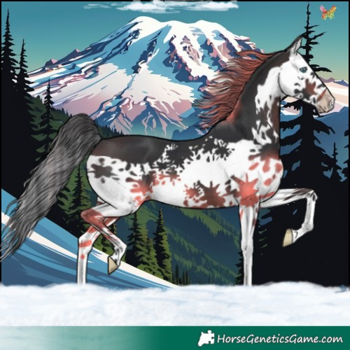 Horse Color:Brown Splash 