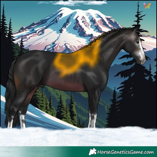 Horse Color:Gray Brown 