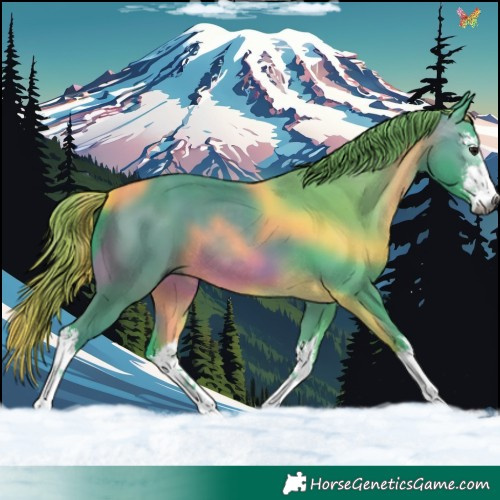 Horse Color:Gray Watercolor White Spotted Bay 