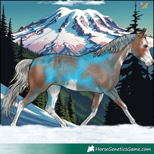 Horse Color:White Spotted Silver Bay Varnish 