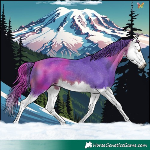 Horse Color:Gray Watercolor White Spotted Buckskin Splash Varnish 