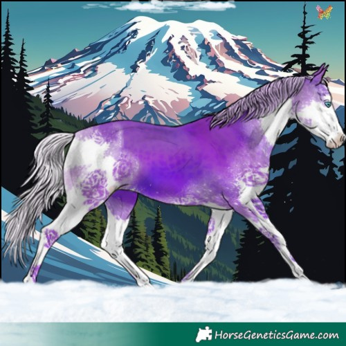 Horse Color:Watercolor White Spotted Silver Brown Splash