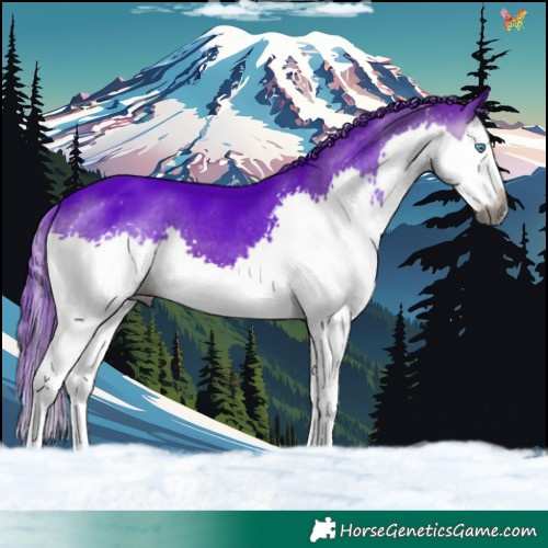 Horse Color:Gray Watercolor Brown Splash