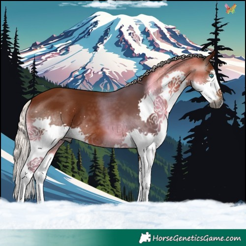 Horse Color:Gray White Spotted Silver Bay Splash 