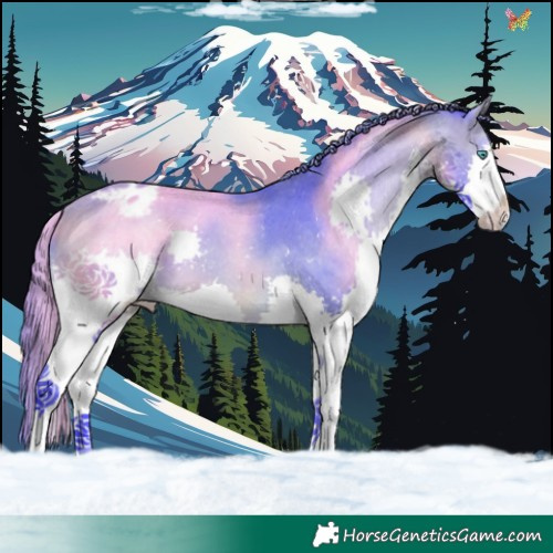 Horse Color:Watercolor Bay Splash Varnish 