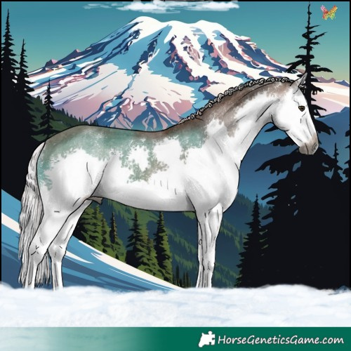 Horse Color:Gray White Spotted Silver Bay Splash Varnish 