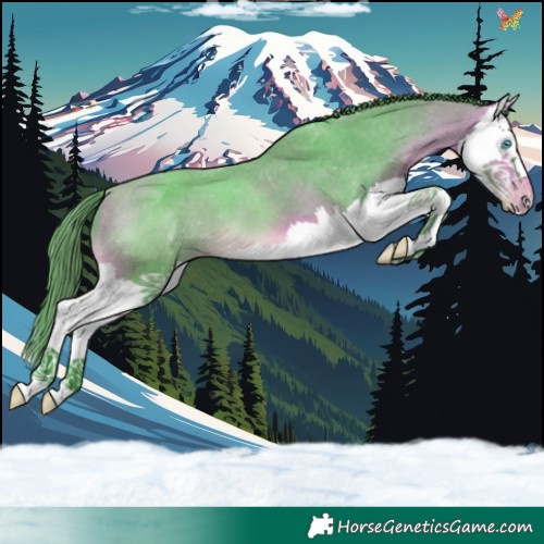 Horse Color:Watercolor Bay Splash Appaloosa