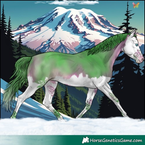 Horse Color:Watercolor Bay Splash Appaloosa