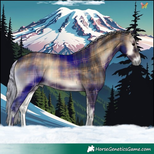 Horse Color:Plaid  Silver Brown Onyx Rabicano 