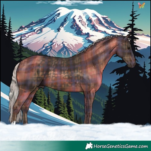 Horse Color:Plaid  Silver Brown 