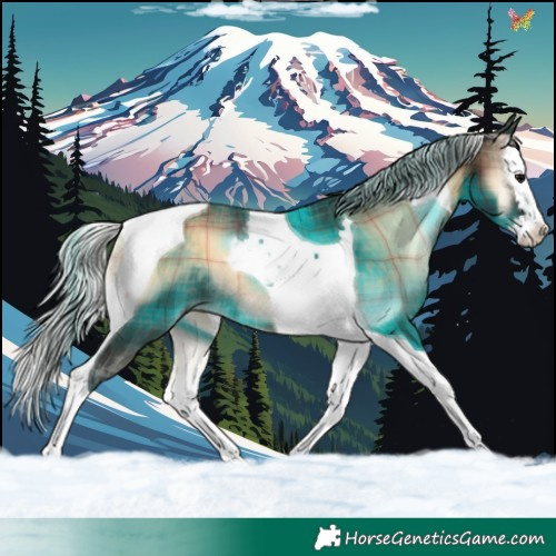 Horse Color:Plaid Silver Brown Onyx Splash Tobiano Rabicano