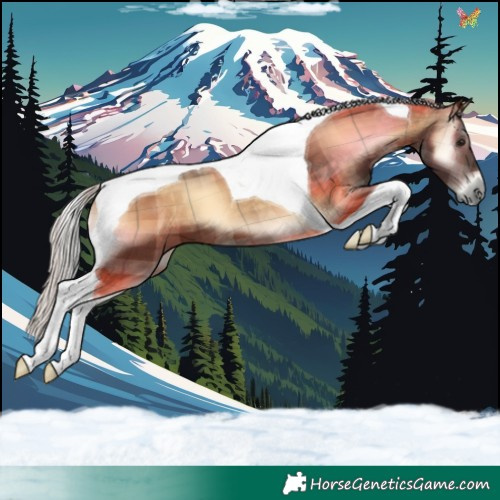 Horse Color:Plaid Silver Brown Onyx Tobiano