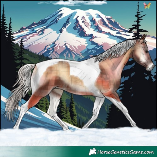 Horse Color:Plaid  Silver Brown Onyx Tobiano 