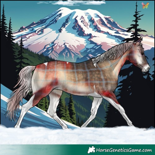 Horse Color:Plaid Silver Brown Onyx Tobiano