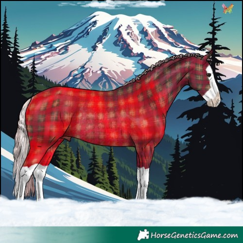 Horse Color:Plaid  Silver Brown Splash Rabicano 
