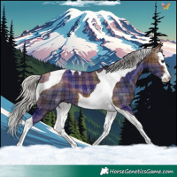 Horse Color:Plaid  Silver Brown Splash Tobiano 