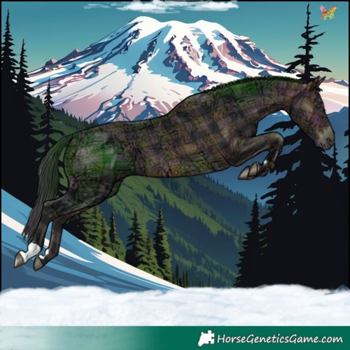 Horse Color:Plaid Bay Ice