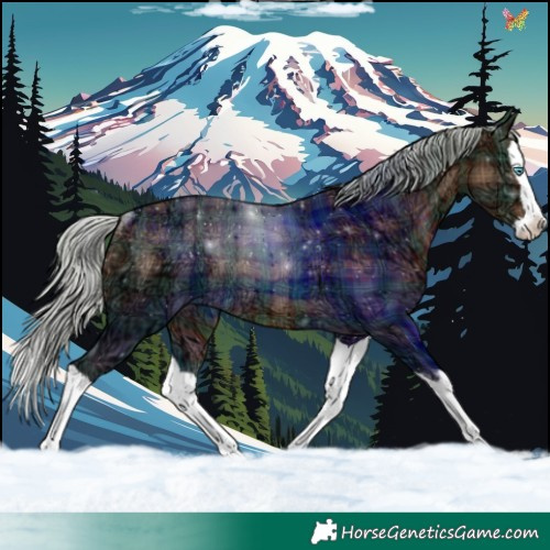 Horse Color:Plaid Silver Brown Ice Splash Rabicano