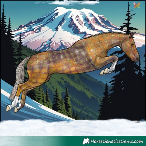 Horse Color:Plaid  Silver Brown 