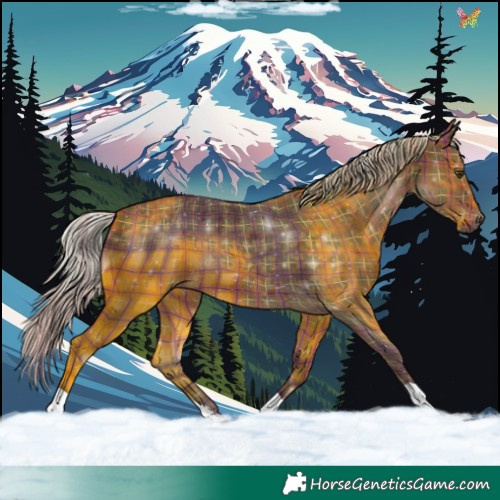 Horse Color:Plaid  Silver Brown 