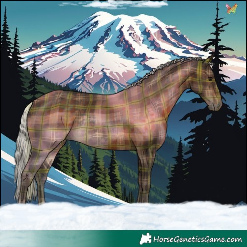 Horse Color:Plaid Silver Brown Rabicano