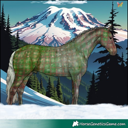 Horse Color:Plaid  Silver Brown Rabicano 