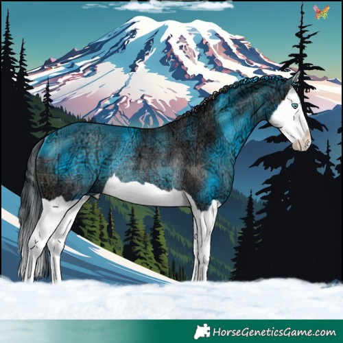 Horse Color:Plaid  Brown Ice Splash Rabicano 