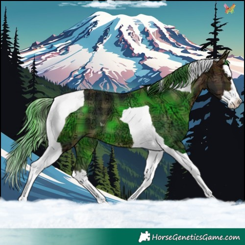 Horse Color:Plaid  Brown Ice Splash Tobiano 