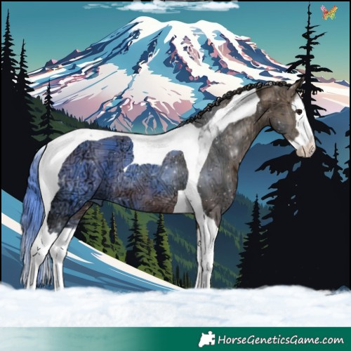 Horse Color:Plaid Brown Ice Splash Tobiano