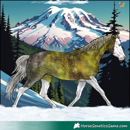 Horse Color:Plaid Silver Brown Ice Splash