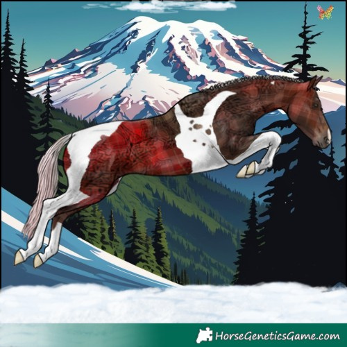 Horse Color:Plaid Silver Brown Ice Tobiano
