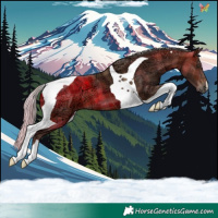 Horse Color:Plaid Silver Brown Ice Tobiano