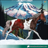 Horse Color:Plaid  Silver Brown Ice Tobiano 