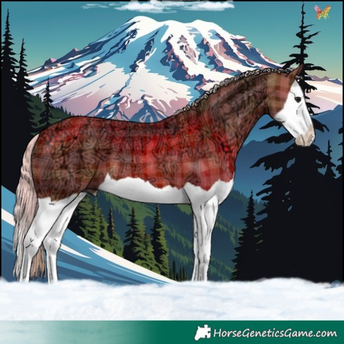 Horse Color:Plaid  Silver Bay Ice Splash 