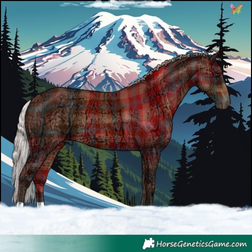 Horse Color:Plaid  Silver Bay Ice 