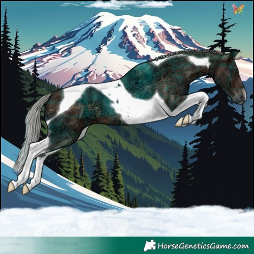 Horse Color:Plaid  Silver Brown Ice Tobiano 