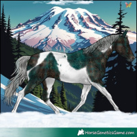 Horse Color:Plaid  Silver Brown Ice Tobiano 