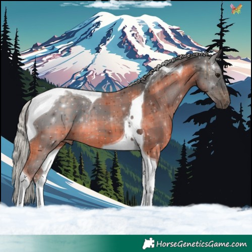 Horse Color:Plaid Silver Brown Tobiano
