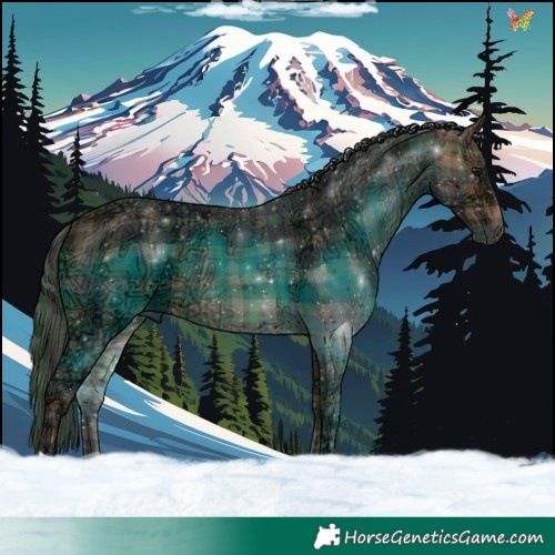 Horse Color:Plaid  Bay Ice 