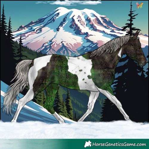 Horse Color:Plaid  Silver Brown Ice Tobiano 