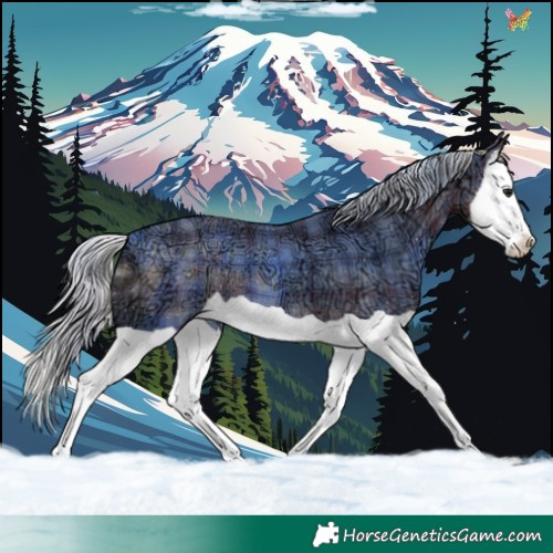 Horse Color:Plaid  Silver Brown Ice Splash 