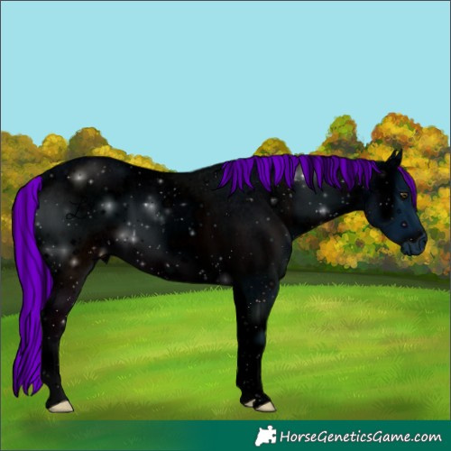 Horse Color:ERROR: UNKNOWN ANOMALY