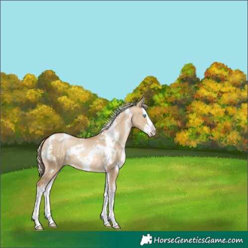 Horse Color:White Spotted Chocolate Palomino Pearl Dun Mushroom Splash 