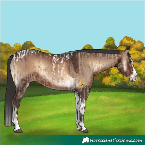 Horse Color:Brown Dun Splash Tobiano  and Liver Red Onyx Sabino Splash 