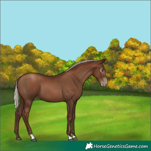 Horse Color:Gray Silver Black Pearl Tobiano 