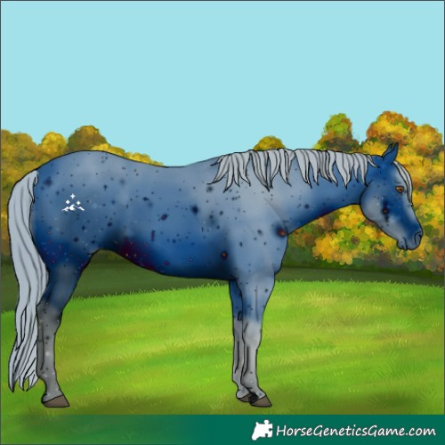 Horse Color:ERROR: UNKNOWN ANOMALY